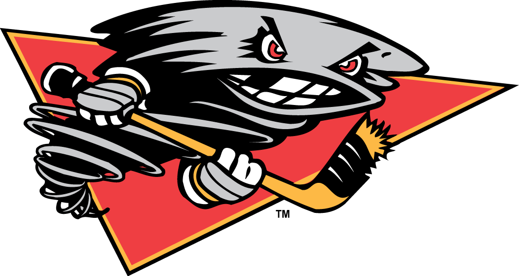 cincinnati cyclones 2001-2014 alternate logo v3 iron on heat transfer